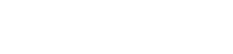 The Curious Leader